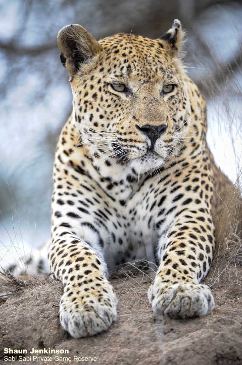 07Shaun Jenkinson Memories 1 Final