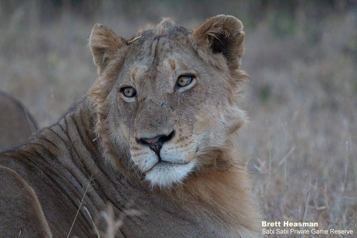 33Brett Heasman Styx 16072020 1 Final