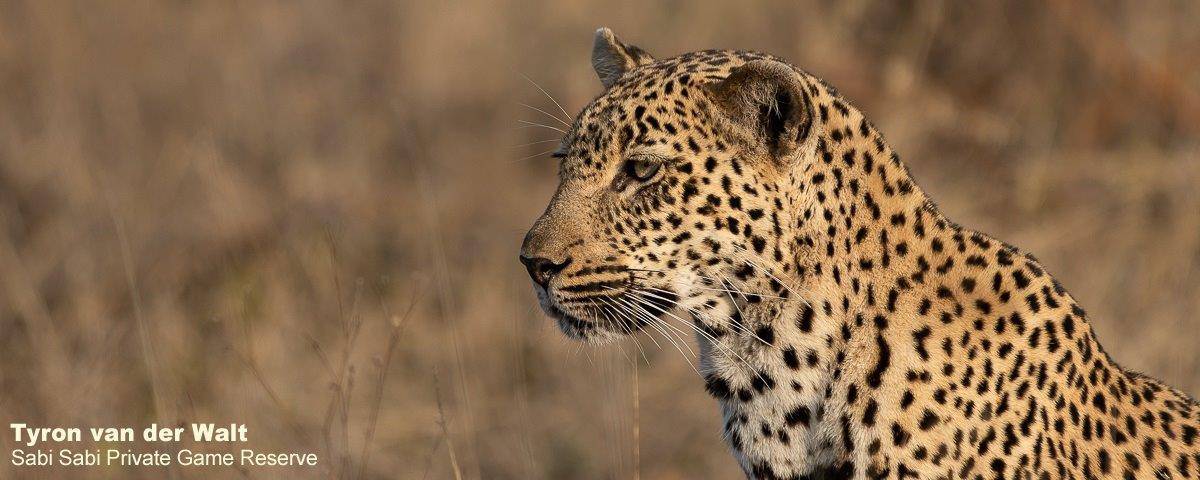 50Tyron Van Der Walt Schotia 030820 2 Final 50Tyron Van Der Walt Schotia 030820 2 Final