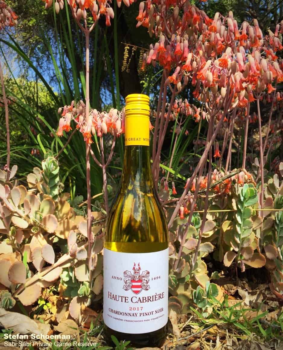 Stefs Guide To Wine 9 Haute Cabriere Pinot Noir Chardonnay Final Stefs Guide To Wine 9 Haute Cabriere Pinot Noir Chardonnay Final