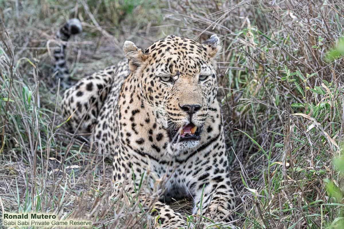 21ronald Mutero Dayone 18112020 11 Final 21ronald Mutero Dayone 18112020 11 Final