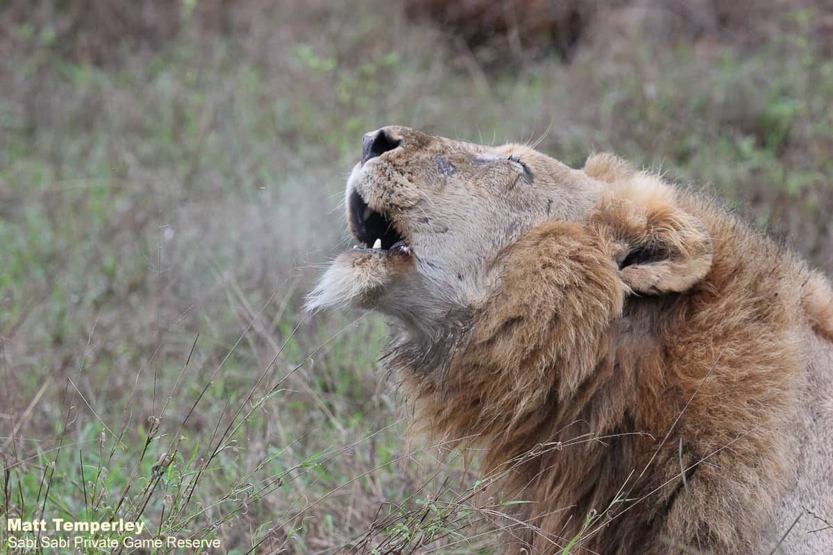 02Matt Temperley Nwas Male 11102020 2 Final