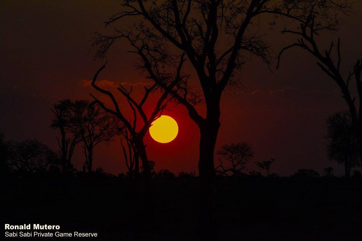 41ronaldmutero Sunset 27092020 2 Final 41ronaldmutero Sunset 27092020 2 Final