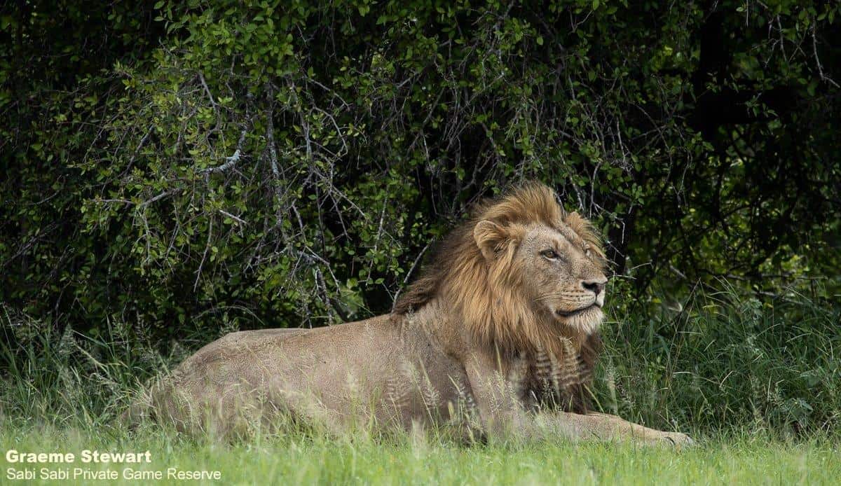 15Graeme Stewart Nwas Male 030121 Final