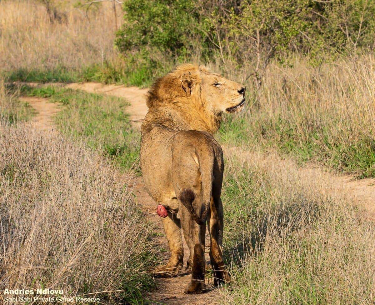 17andries Nwasmales 181020 1 Final