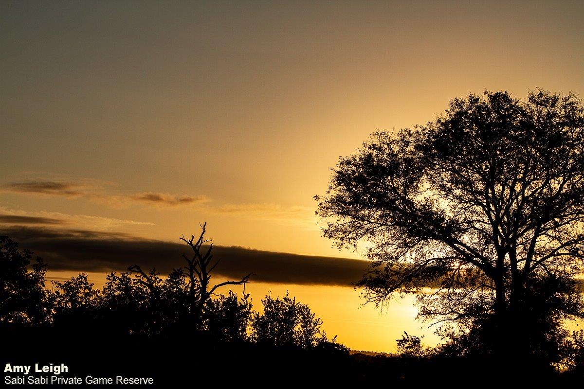 01Amy Leigh Sunrise Sky 2 240321 Final 01Amy Leigh Sunrise Sky 2 240321 Final