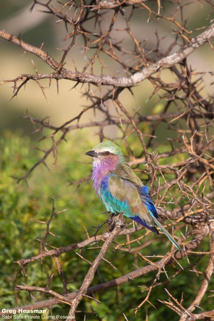 02Greg Heasman LBR 22032021 Final 02Greg Heasman LBR 22032021 Final