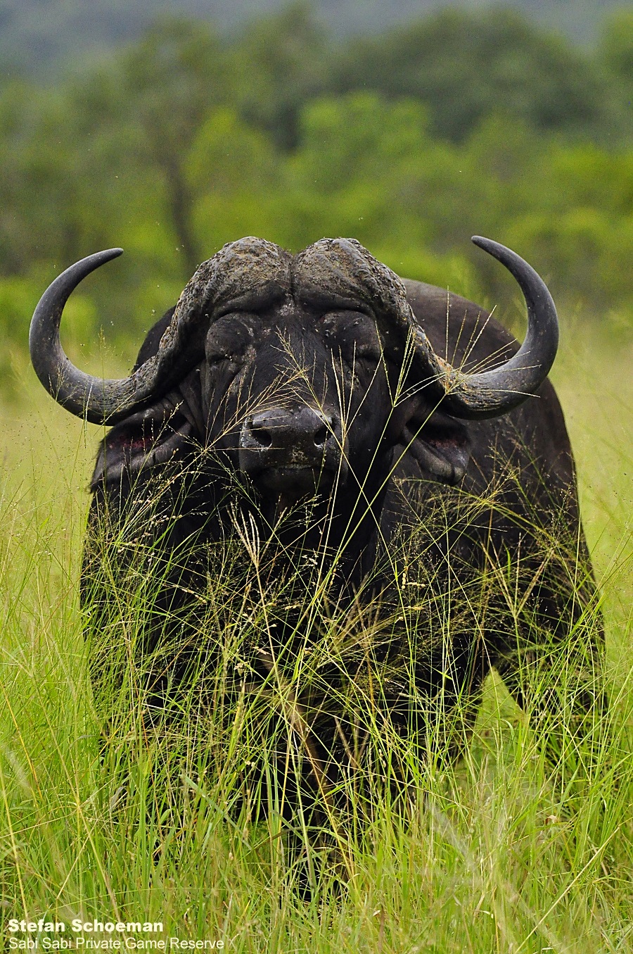 02Stefan Schoeman Buffalo Kaya Final 02Stefan Schoeman Buffalo Kaya Final