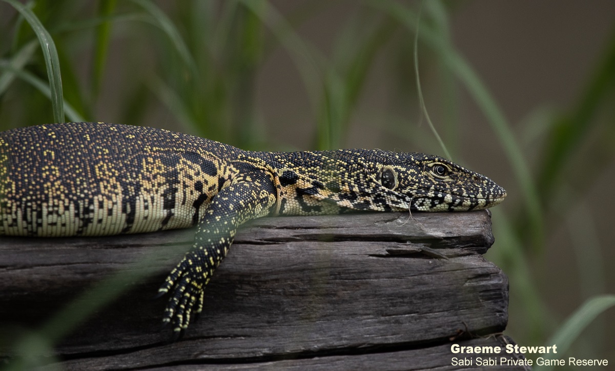 13Graeme Stewart Water Monitor 050221 Final 13Graeme Stewart Water Monitor 050221 Final