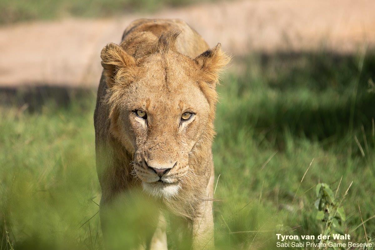 19Tyron Van Der Walt Kambula 020321 4 Final