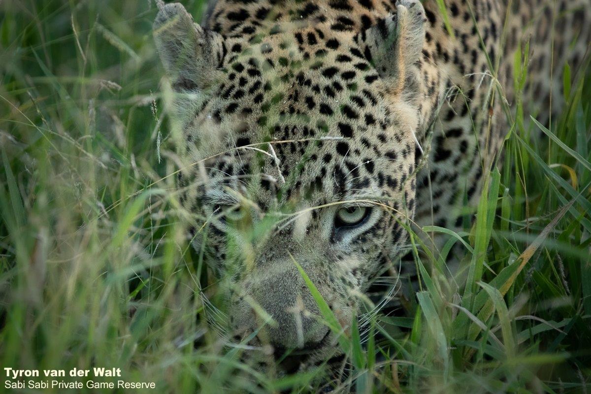 24Tyron Van Der Walt Hanyile 140221 Final