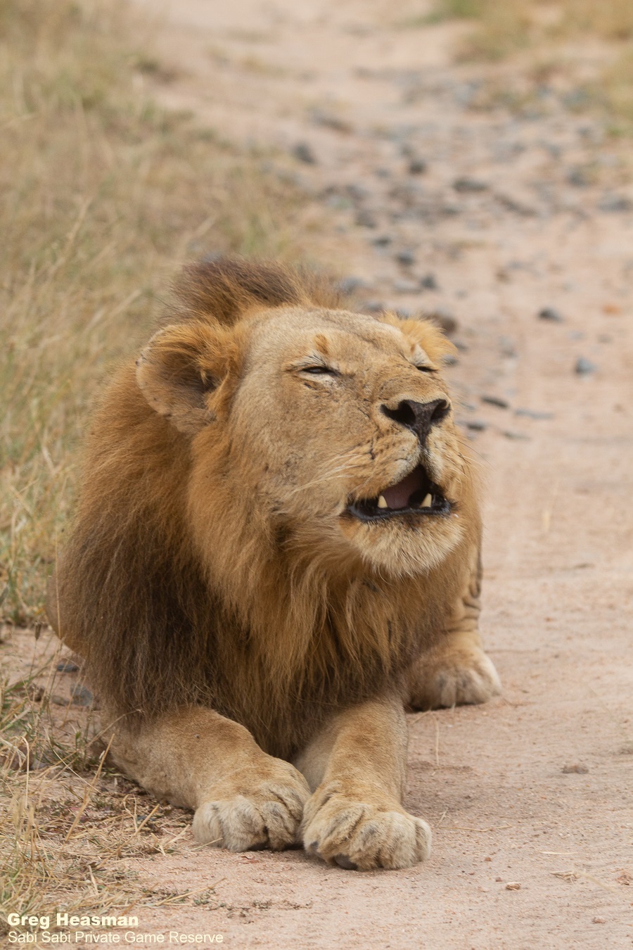 09Greg Heasman Nwas 05042021 Final