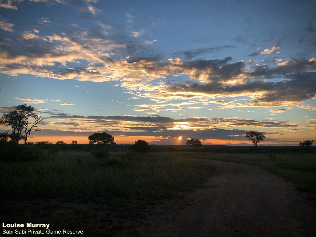 39Louise Murray Sunset 18012021 Final