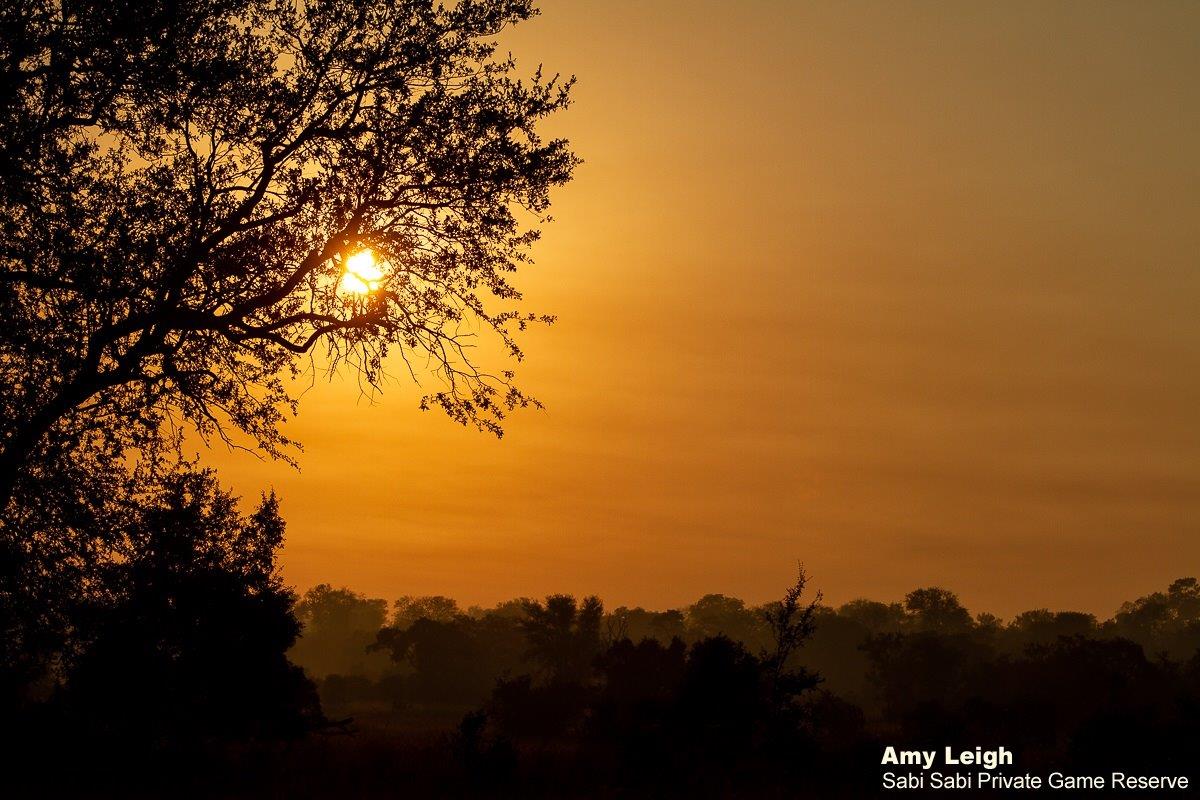 05Amy Leigh Sunrise Sky 250521 Final 05Amy Leigh Sunrise Sky 250521 Final