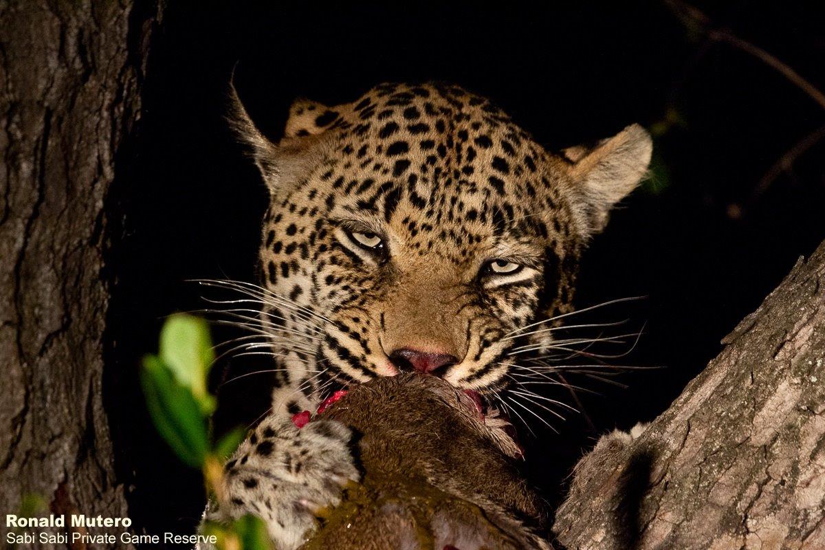34ronald Mutero Mweti 17062021   13 Final 34ronald Mutero Mweti 17062021   13 Final