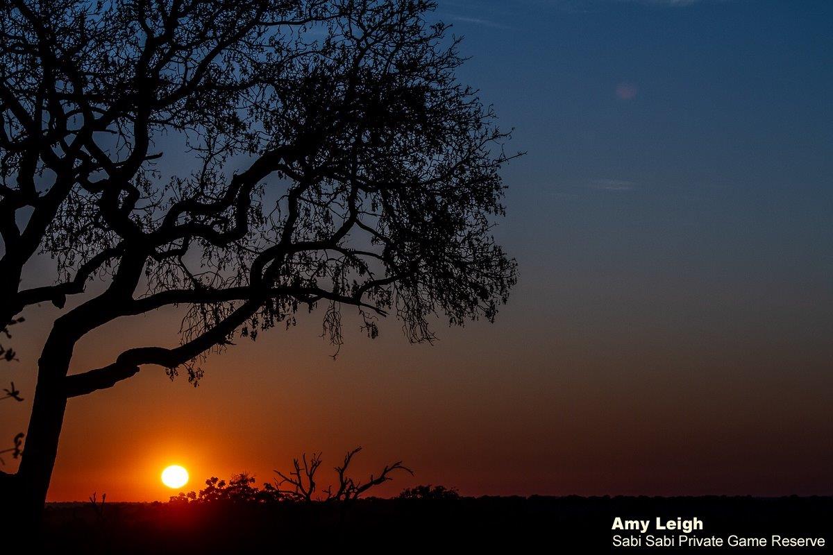 01Amy Leigh Sunrise Sky 140621 Final 1 01Amy Leigh Sunrise Sky 140621 Final 1