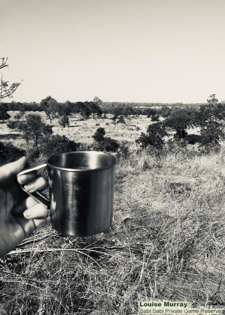 08Louise Murray Morning Safari Coffee Stop 2 Final 08Louise Murray Morning Safari Coffee Stop 2 Final