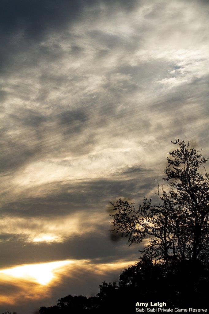 37Amy Leigh Sunset Sky 060521 Final