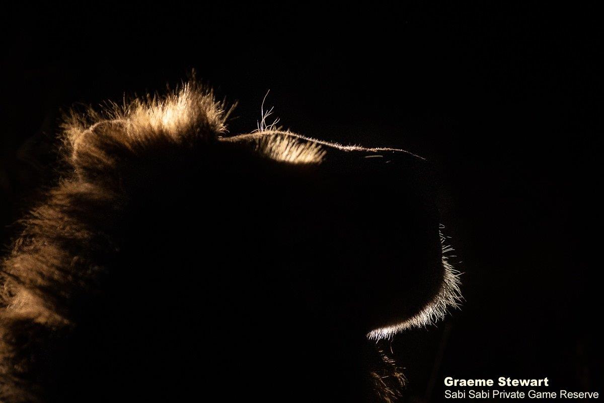 A16Graeme Stewart Nwas Male 060821 Final