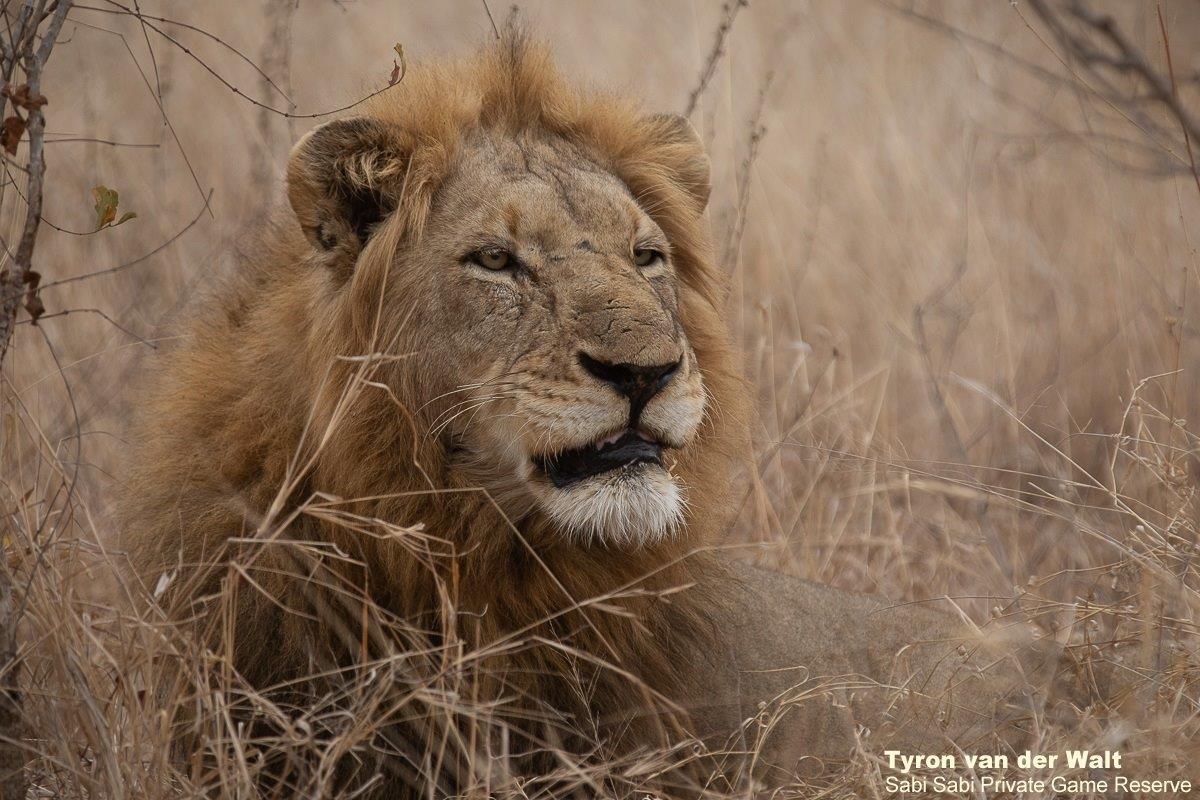 A17Tyron Van Der Walt Nwashishaka 100821 Final