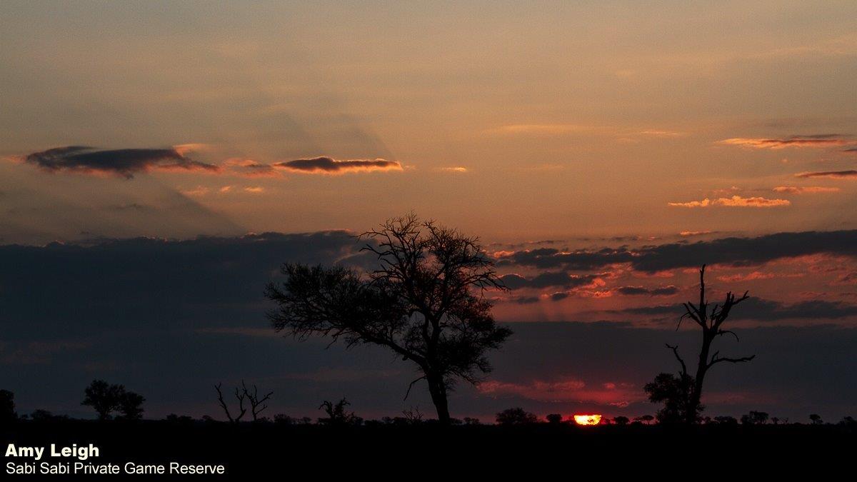 B41Amy Leigh Sunset Sky 3 09721 Final B41Amy Leigh Sunset Sky 3 09721 Final