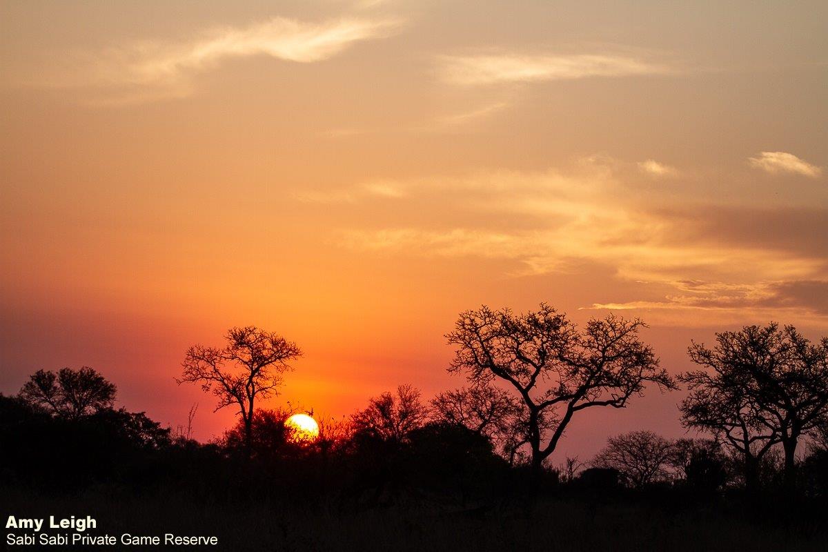 A01Amy Leigh Sunset Sky 240921 Final A01Amy Leigh Sunset Sky 240921 Final