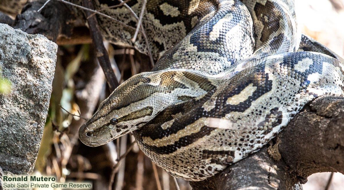 A39ronald Mutero Python 27092021  7 Final A39ronald Mutero Python 27092021  7 Final