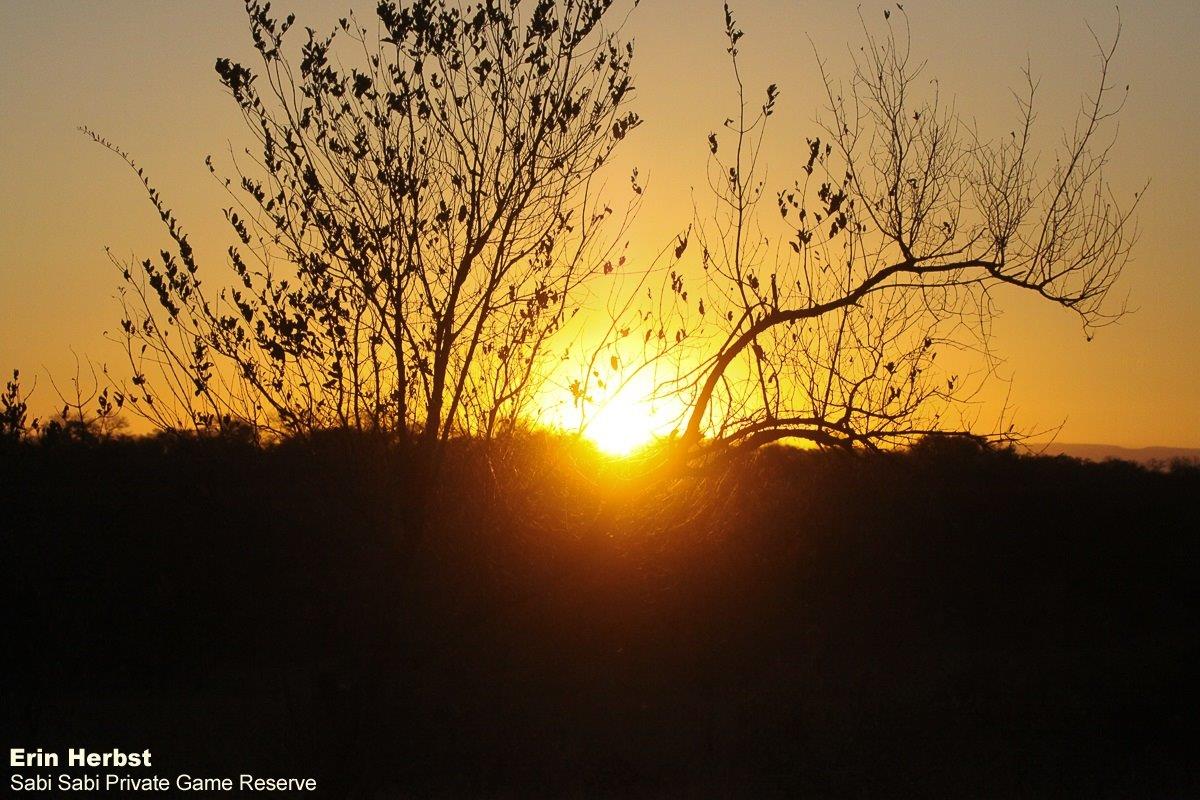 A46Erin Herbst Sunset 120921 Final A46Erin Herbst Sunset 120921 Final