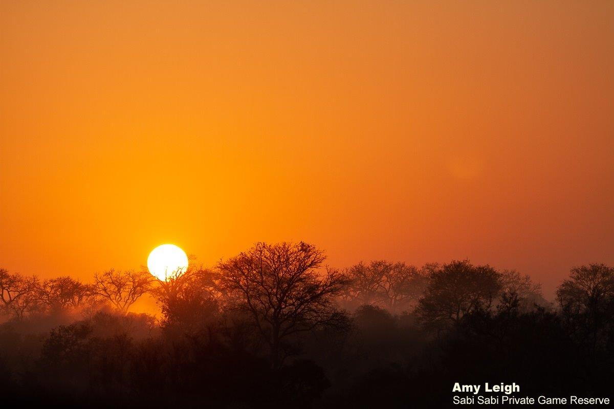 B01Amy Leigh Sunrise Sky 050921 Final B01Amy Leigh Sunrise Sky 050921 Final