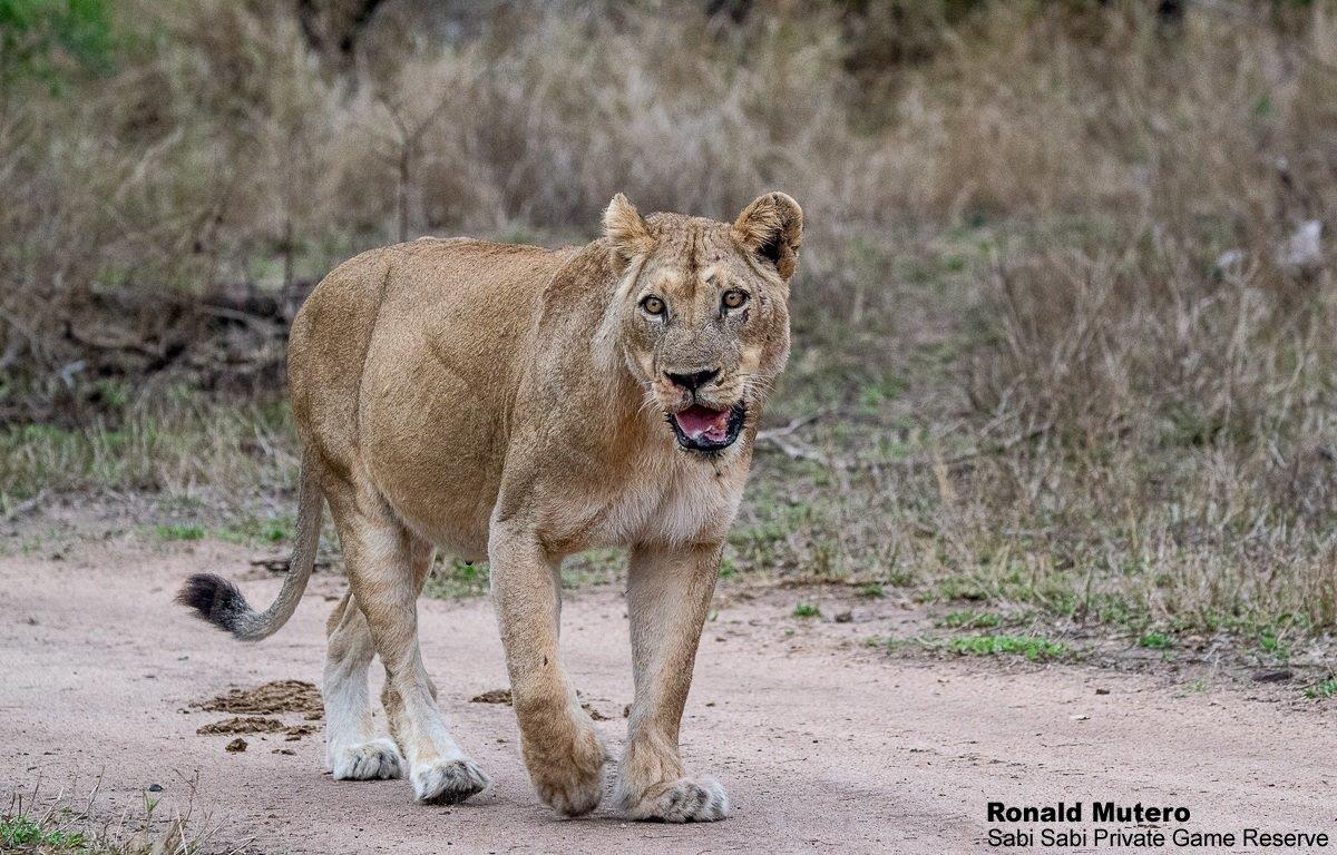 A02Ronald Mutero Stix Female 06102021 8 Final