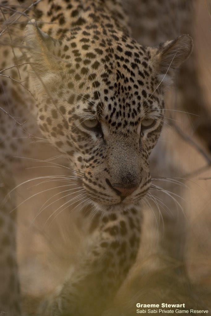 B08Graeme Stewart Ngumi 090921 Final