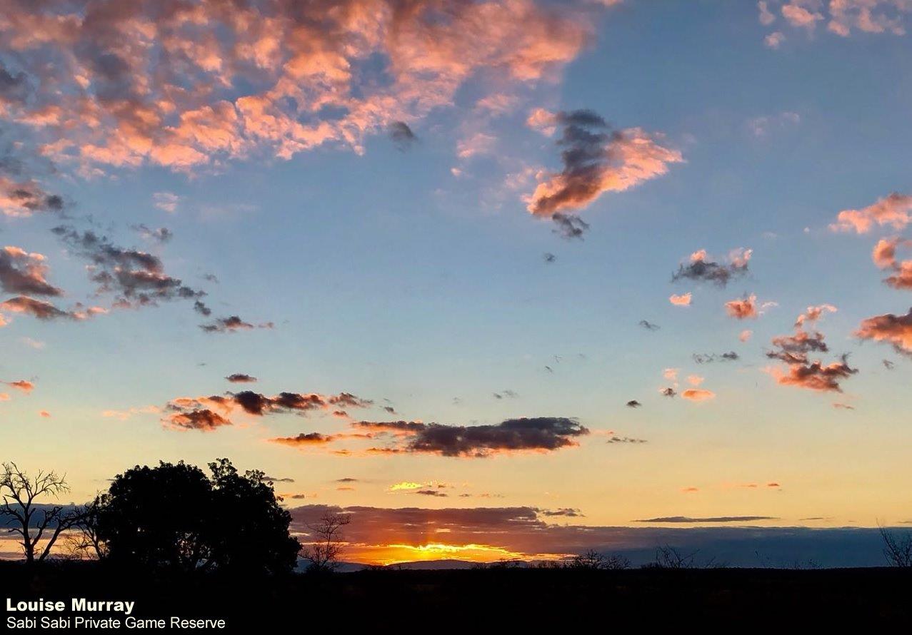 A43Louise Murray Sunset 072018 1 Crop Final A43Louise Murray Sunset 072018 1 Crop Final