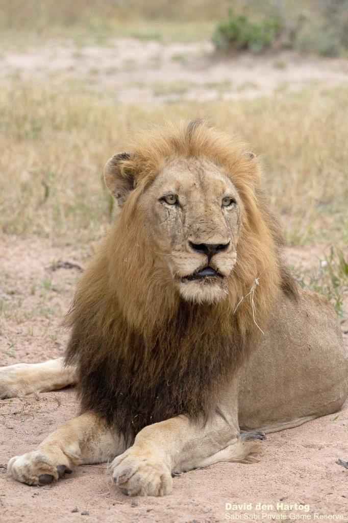 A27David Den Hartog Nwas Male 17 02 2022 2 Edit Final