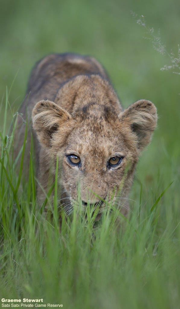 B01Graeme Stewart Styx Cub 300122 Final