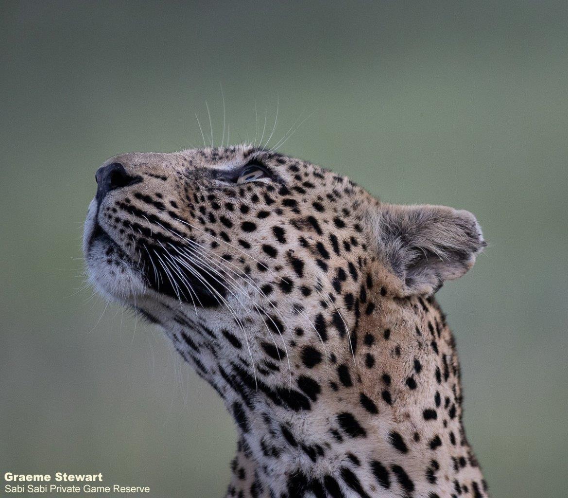 B02Graeme Stewart Nweti 220122 Final