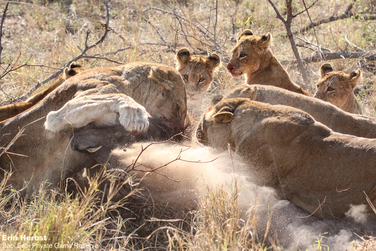 B06Erin Herbst Styx 3 211021 FINAL 4