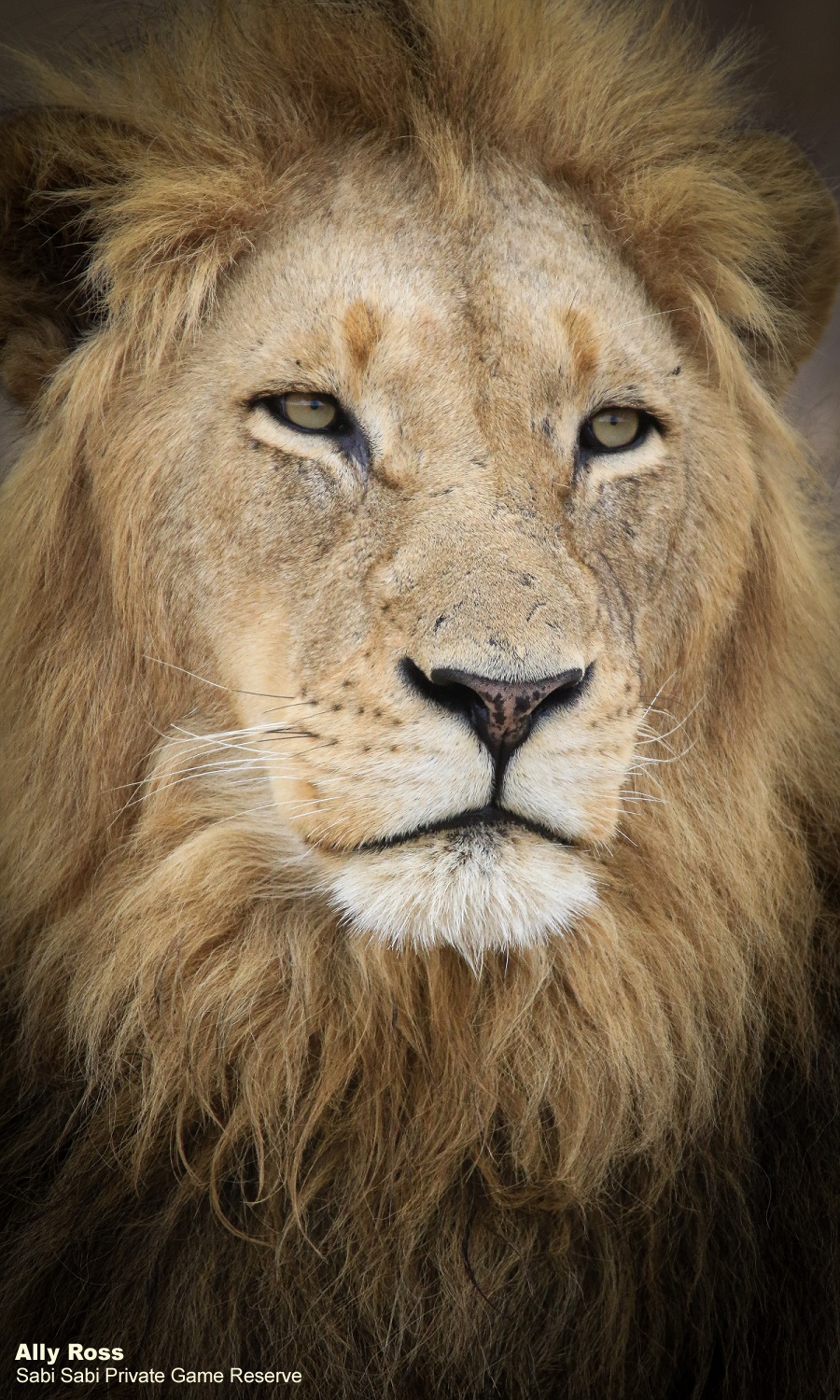 B01Ally Ross 20191015 Othowa Male Final