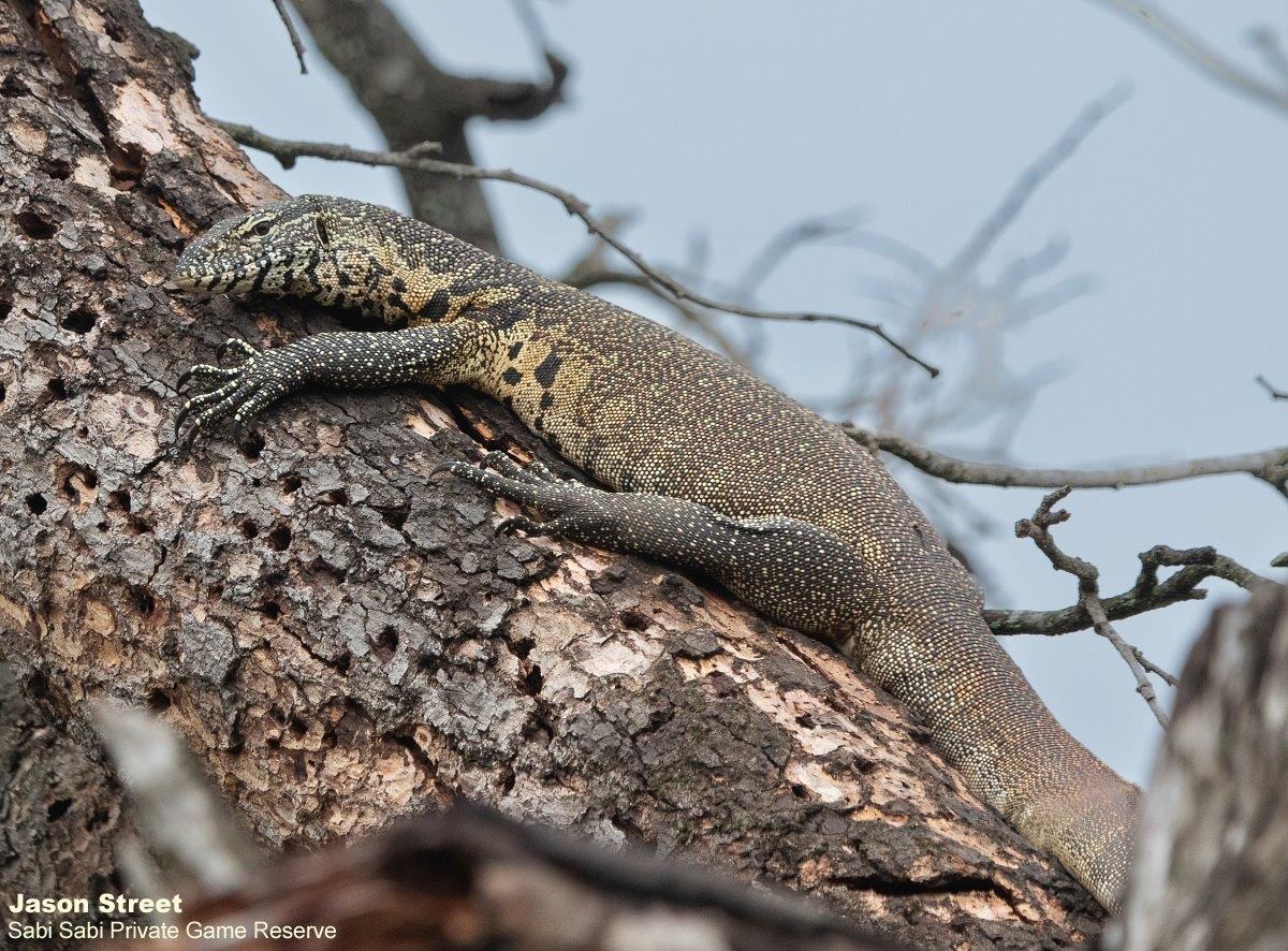 A42Jason Street Water Monitor 260322 Final A42Jason Street Water Monitor 260322 Final