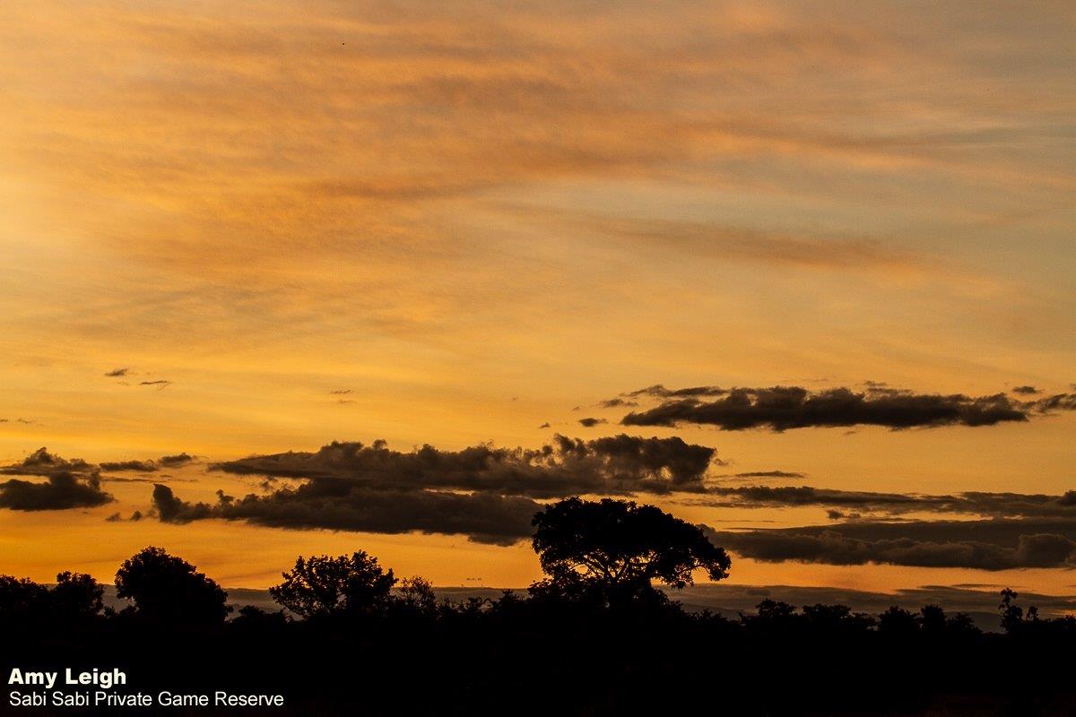 A44Amy Leigh Sunset Sky 190322 Final A44Amy Leigh Sunset Sky 190322 Final