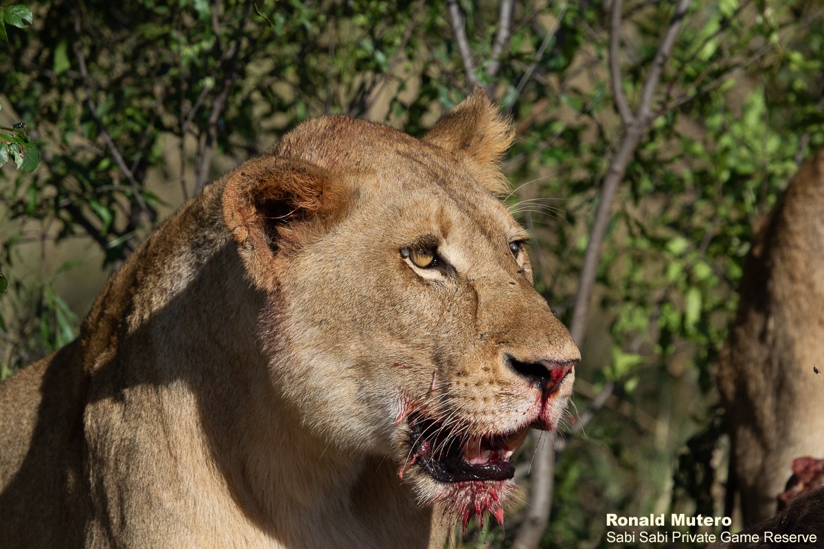 B15ronald Mutero Khambula Sub Blog  6 Final