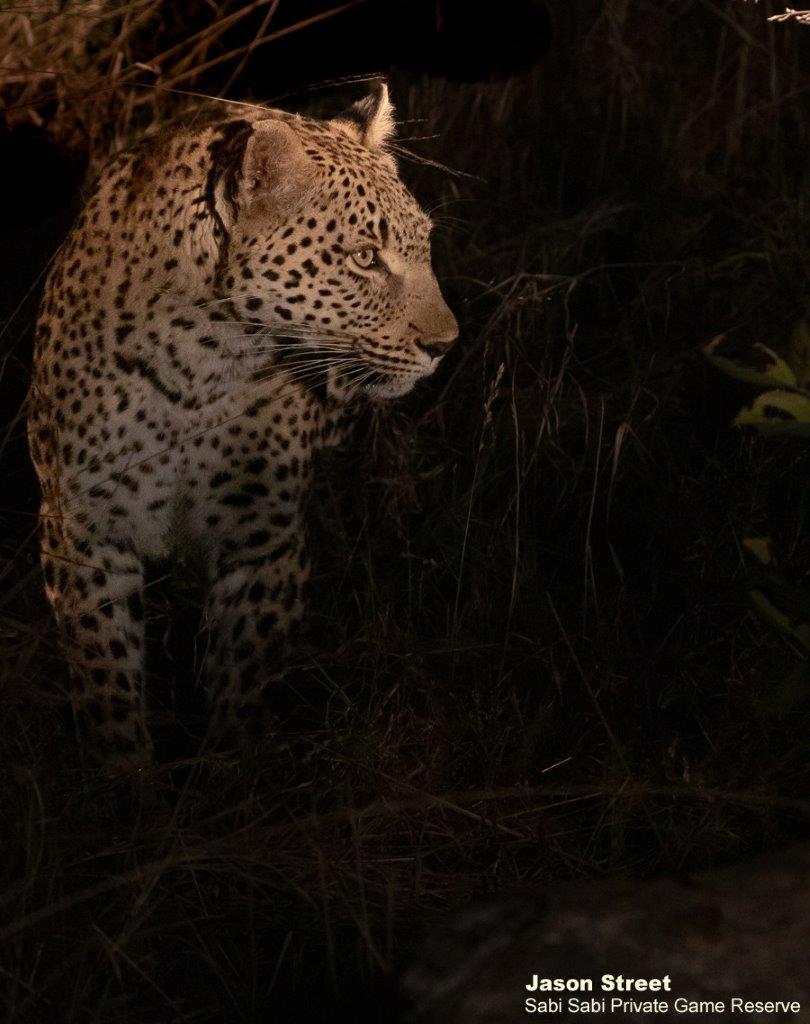 A05Jason Street Kigelia 060922. Final