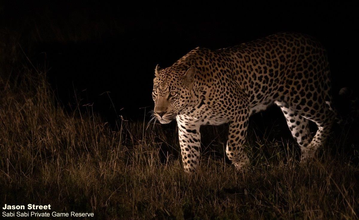 A08Jason Street Mawelawela 110622 2 Final