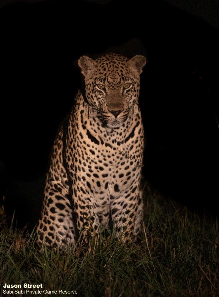 A28Jason Street Mawelawela 030622 Final