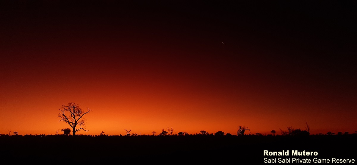 01Ronald Mutero Sundowner Landscape 20220602 Final 01Ronald Mutero Sundowner Landscape 20220602 Final