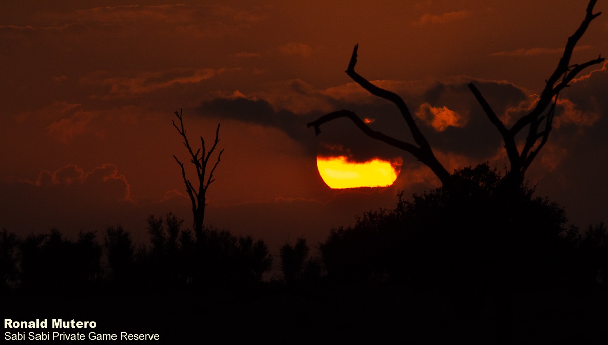 07Ronald Mutero Sunset Final 07Ronald Mutero Sunset Final