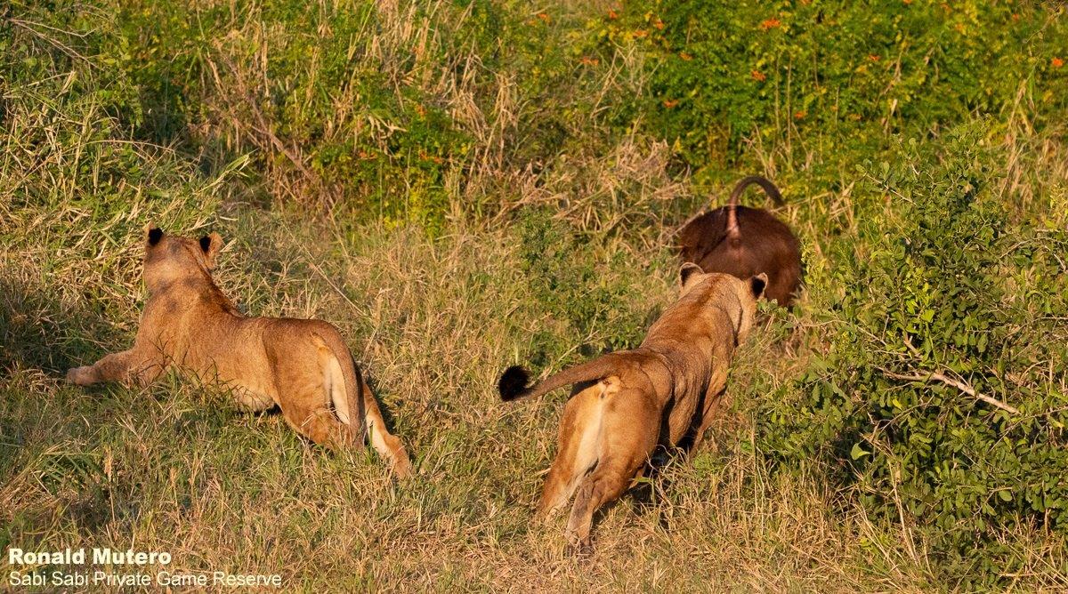 A07ronald Mutero Styx 12072022 6 Final