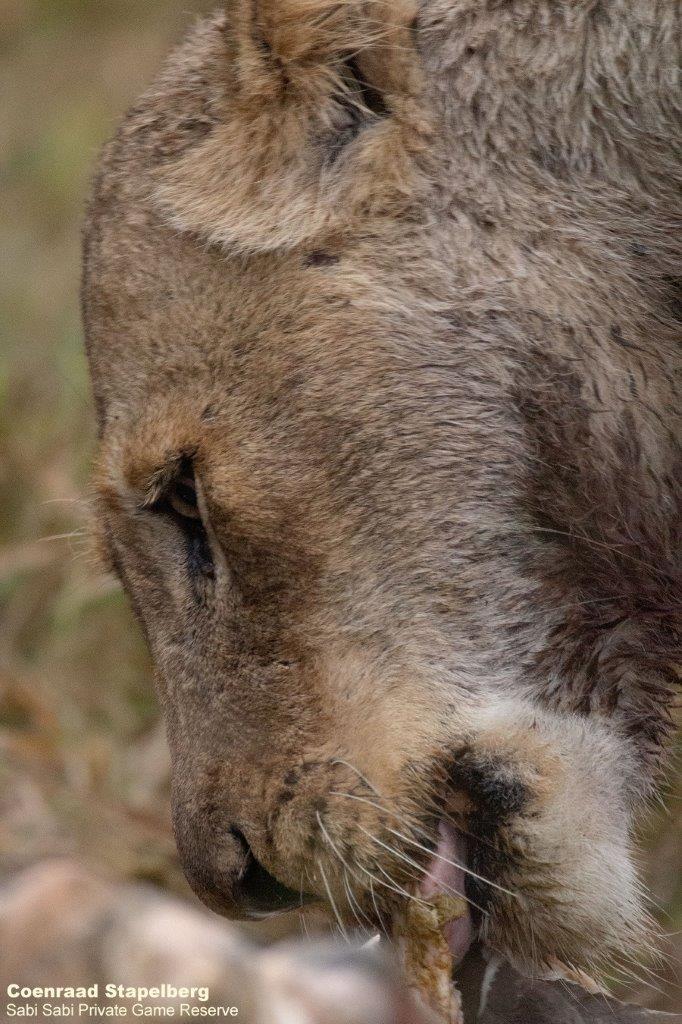 A20Coenraad Stapelberg Mhangeni 22072022 Portrait Final