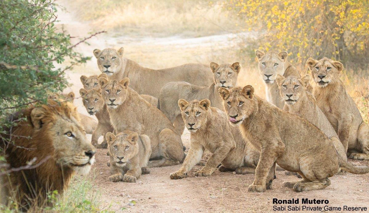 A28ronald Mutero Styxs 06072022 6 Final