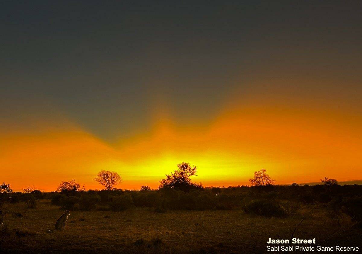 A33Jason Street Cheetah Sunset 250722. Final