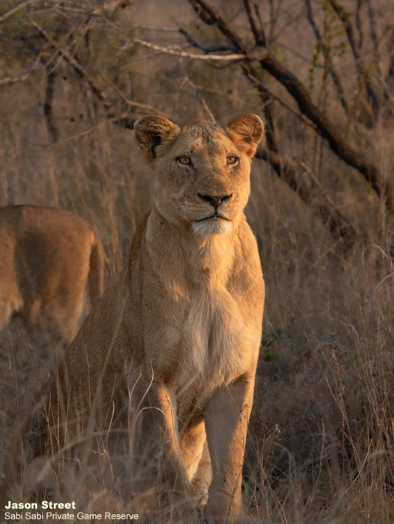 A16Jason Street Styx 040822 2. Final